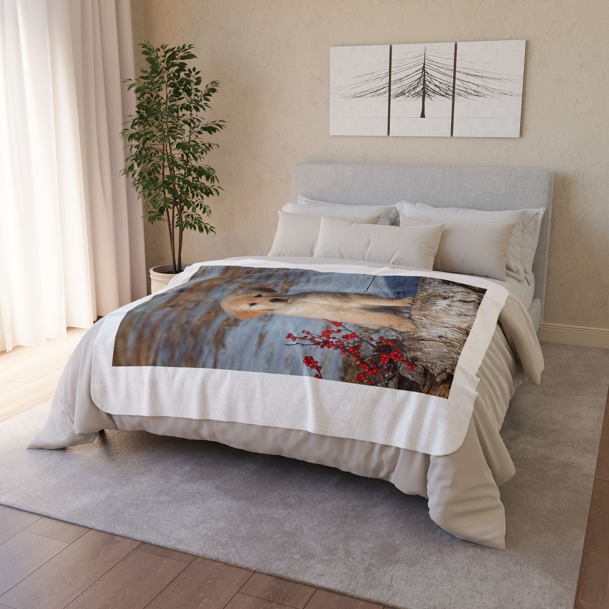 slider image 1621243260e1af0c20-0