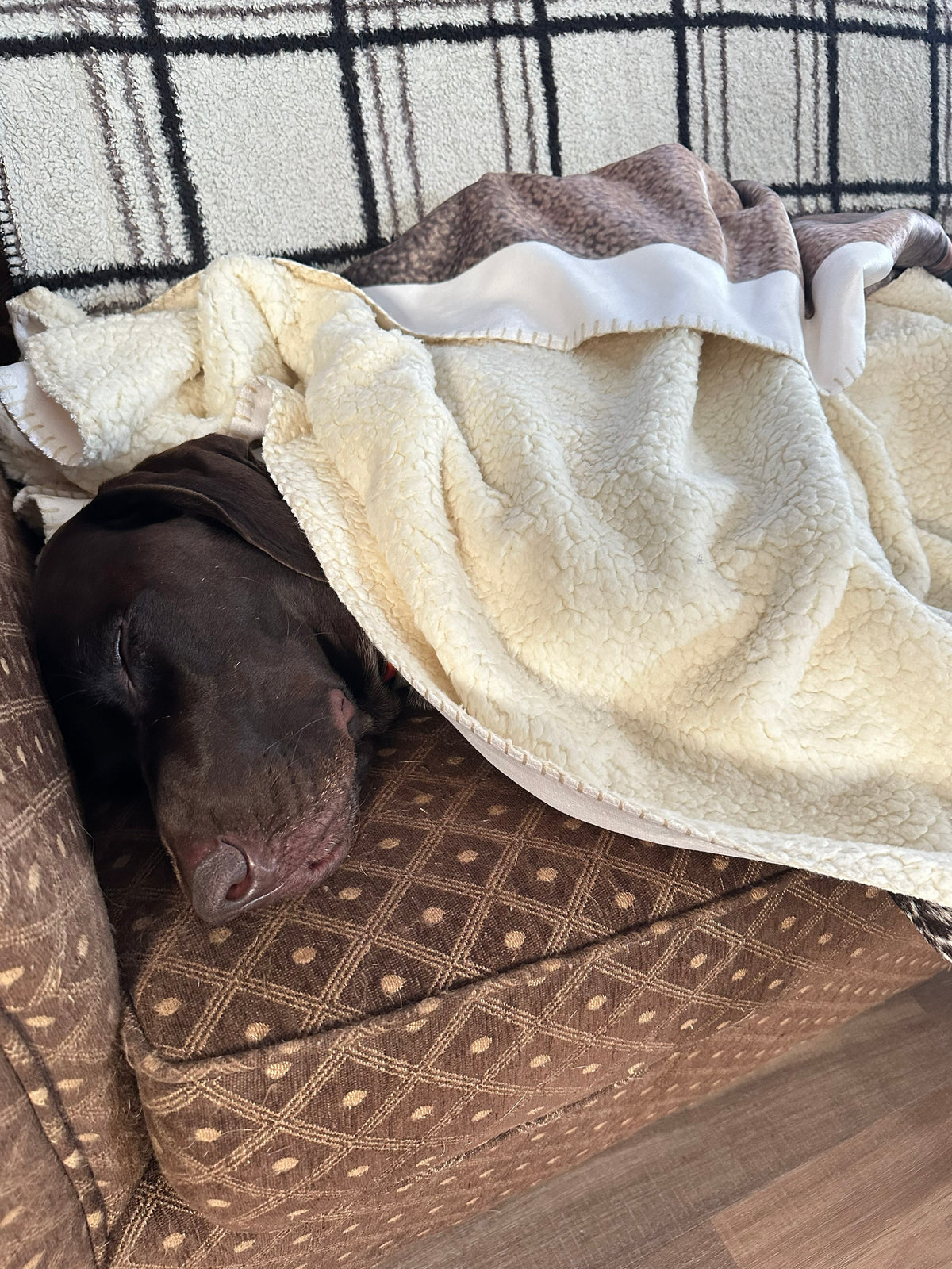 Personalized Fleece Sherpa Blanket