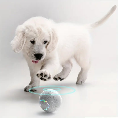 Interactive Self Bouncing Ball